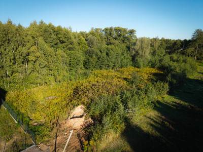 Działka na której usłyszysz szum morza - Rąbień  -
Łódzkie Zdjęcie nr 4