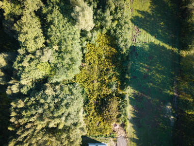 Działka na której usłyszysz szum morza - Rąbień  -
Łódzkie Zdjęcie nr 6