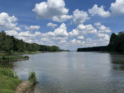 Działka -Nowa Wieś Zbąska super cena - Nowa Wieś Zbąska  -
Wielkopolskie Zdjęcie nr 9