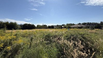 Zielona działka na sprzedaż - Ksawerów - Ksawerów  - Łódzkie