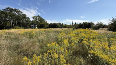 Zielona działka na sprzedaż - Ksawerów - Ksawerów  -
Łódzkie Zdjęcie nr 2