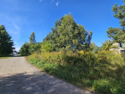 Działka budowlana  inwestycja która się spłaci - Mieszkowice  - Zachodniopomorskie