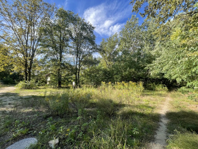 Zielone płuca miasta i miejski komfort - Łódź-Polesie  -
Łódzkie Zdjęcie nr 3