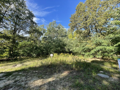 Zielone płuca miasta i miejski komfort - Łódź-Polesie  -
Łódzkie Zdjęcie nr 5