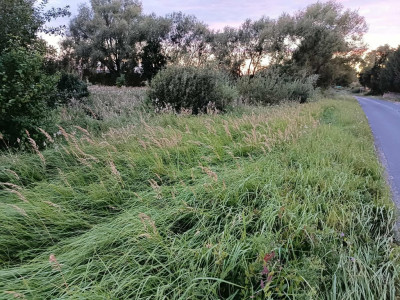 Twój wymarzony kawałek natury w Kłodowie - 1800 m - Kłodowo  -
Zachodniopomorskie Zdjęcie nr 10