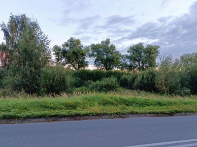 Twój wymarzony kawałek natury w Kłodowie - 1800 m - Kłodowo  -
Zachodniopomorskie Zdjęcie nr 11