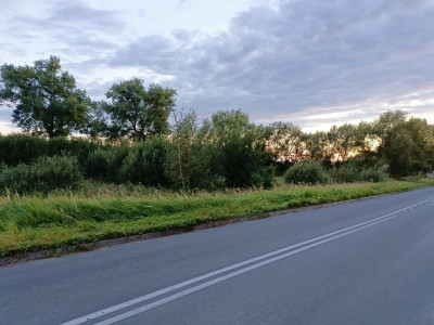 Twój wymarzony kawałek natury w Kłodowie - 1800 m - Kłodowo  -
Zachodniopomorskie Zdjęcie nr 12