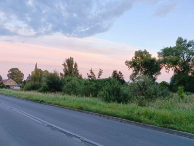 Twój wymarzony kawałek natury w Kłodowie - 1800 m - Kłodowo  -
Zachodniopomorskie Zdjęcie nr 13