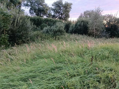 Twój wymarzony kawałek natury w Kłodowie - 1800 m - Kłodowo  -
Zachodniopomorskie Zdjęcie nr 5