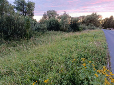 Twój wymarzony kawałek natury w Kłodowie - 1800 m - Kłodowo  -
Zachodniopomorskie Zdjęcie nr 7