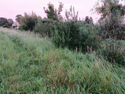 Twój wymarzony kawałek natury w Kłodowie - 1800 m - Kłodowo  -
Zachodniopomorskie Zdjęcie nr 9