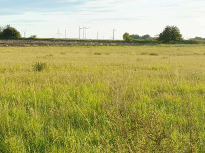 Działka z przyszłością  idealna inwestycja - Smolęcin  -
Zachodniopomorskie Zdjęcie nr 14