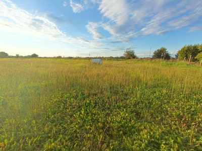 Działka z przyszłością  idealna inwestycja - Smolęcin  - Zachodniopomorskie