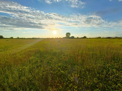 Działka z przyszłością  idealna inwestycja - Smolęcin  -
Zachodniopomorskie Zdjęcie nr 3