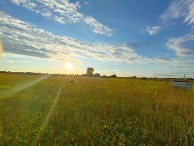 Działka z przyszłością  idealna inwestycja - Smolęcin  -
Zachodniopomorskie Zdjęcie nr 6