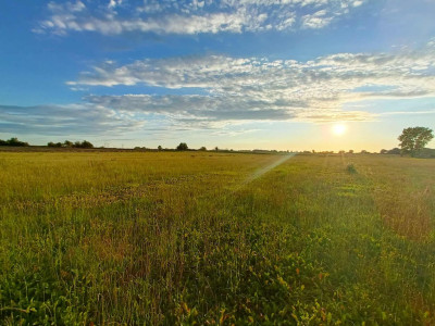Działka z przyszłością  idealna inwestycja - Smolęcin  -
Zachodniopomorskie Zdjęcie nr 7
