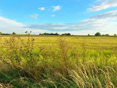 Działka z przyszłością  idealna inwestycja - Smolęcin  -
Zachodniopomorskie Zdjęcie nr 8