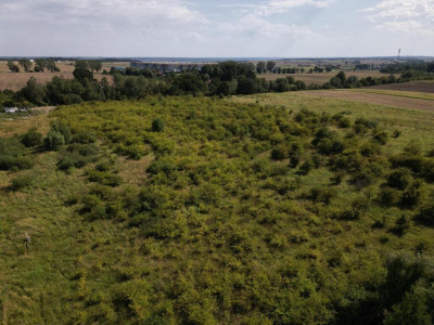 Twój kawałek ziemi - 2513 m2 uzbrojona - Smolęcin  -
Zachodniopomorskie Zdjęcie nr 7