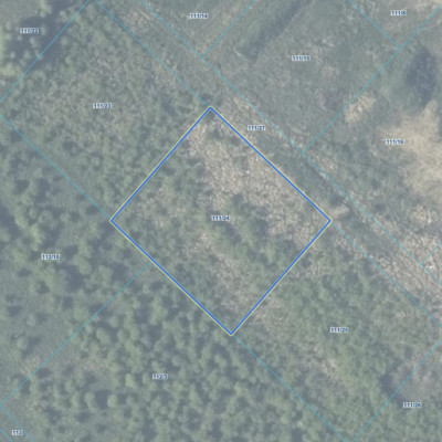 Twój kawałek ziemi - 2513 m2 uzbrojona - Smolęcin  -
Zachodniopomorskie Zdjęcie nr 8