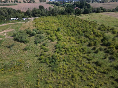 Twój kawałek ziemi - 2513 m2 uzbrojona - Smolęcin  -
Zachodniopomorskie Zdjęcie nr 9