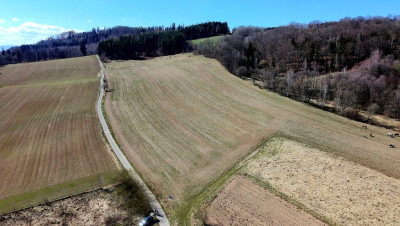 Pięknie położone działki w Rogówku koło Kłodzka - Rogówek  -
Dolnośląskie Zdjęcie nr 2