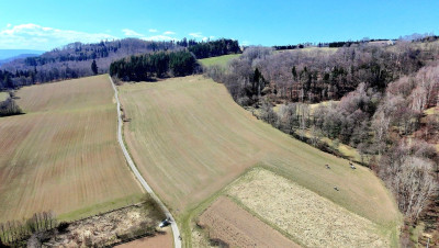 Pięknie położone działki w Rogówku koło Kłodzka - Rogówek  -
Dolnośląskie Zdjęcie nr 4