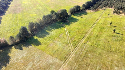 Marzenia o domu w Czernej  90 złm - Czerna  -
Lubuskie Zdjęcie nr 11