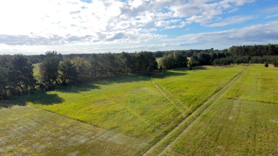 Marzenia o domu w Czernej  90 złm - Czerna  -
Lubuskie Zdjęcie nr 13