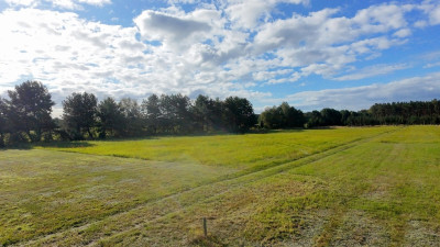 Marzenia o domu w Czernej  90 złm - Czerna  -
Lubuskie Zdjęcie nr 14