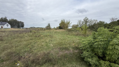 Działka budowlana  Łaznowska Wola Gmina Rokiciny - Łaznowska Wola  -
Łódzkie Zdjęcie nr 4