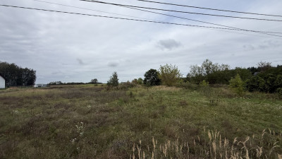 Działka budowlana  Łaznowska Wola Gmina Rokiciny - Łaznowska Wola  -
Łódzkie Zdjęcie nr 5