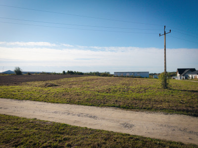 Może i nie ma małpki z maskotką ale działka fajna - Rąbień  -
Łódzkie Zdjęcie nr 6