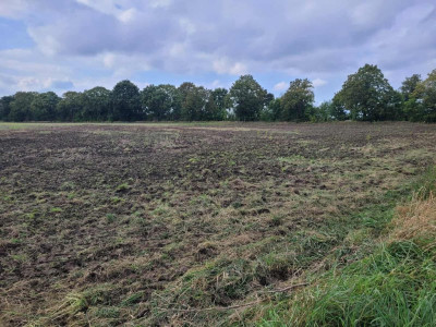 Idealne działki dla Ciebie - Zielin  -
Zachodniopomorskie Zdjęcie nr 8