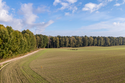Obudź się nad jeziorem  działki na sprzedaż - Skrzynki  -
Kujawsko-Pomorskie Zdjęcie nr 10