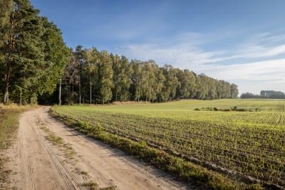 Obudź się nad jeziorem  działki na sprzedaż - Skrzynki  -
Kujawsko-Pomorskie Zdjęcie nr 14