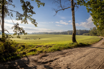 Obudź się nad jeziorem  działki na sprzedaż - Skrzynki  - Kujawsko-Pomorskie