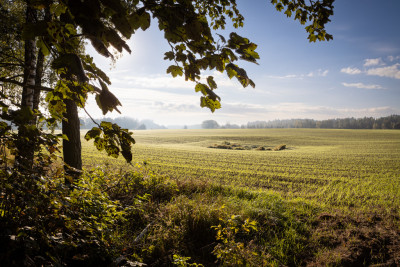 Obudź się nad jeziorem  działki na sprzedaż - Skrzynki  -
Kujawsko-Pomorskie Zdjęcie nr 2