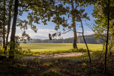 Obudź się nad jeziorem  działki na sprzedaż - Skrzynki  -
Kujawsko-Pomorskie Zdjęcie nr 3