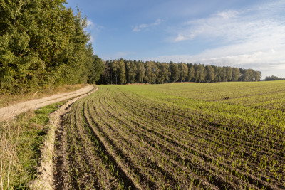Obudź się nad jeziorem  działki na sprzedaż - Skrzynki  -
Kujawsko-Pomorskie Zdjęcie nr 9