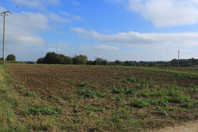 Działka w sąsiedztwie zabudowy - cicha okolica - Sietesz  -
Podkarpackie Zdjęcie nr 4