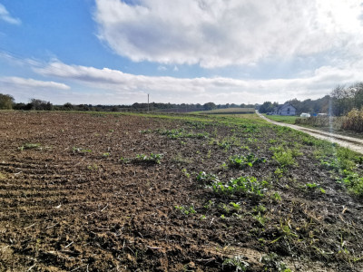Działka w sąsiedztwie zabudowy - cicha okolica - Sietesz  -
Podkarpackie Zdjęcie nr 6