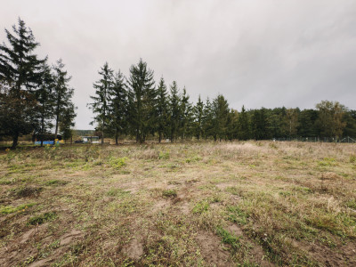 Działka 1681 m  otoczona lasem i łąkami - Tuchola  -
Wielkopolskie Zdjęcie nr 10