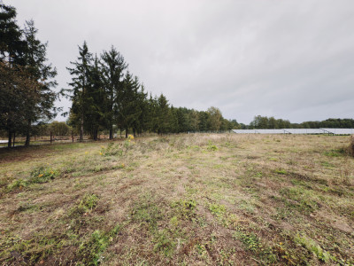 Działka 1681 m  otoczona lasem i łąkami - Tuchola  -
Wielkopolskie Zdjęcie nr 8