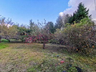 UMOWA PRZEDWSTĘPNA - Łańcut  -
Podkarpackie Zdjęcie nr 2