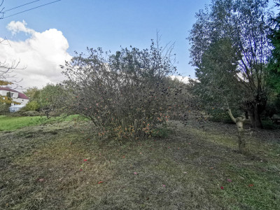 UMOWA PRZEDWSTĘPNA - Łańcut  -
Podkarpackie Zdjęcie nr 3