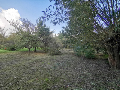 UMOWA PRZEDWSTĘPNA - Łańcut  -
Podkarpackie Zdjęcie nr 4