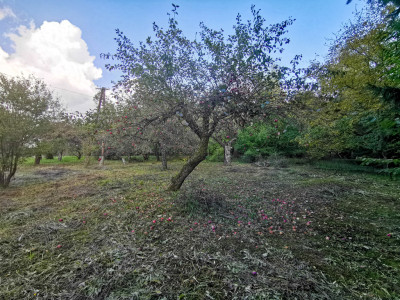 UMOWA PRZEDWSTĘPNA - Łańcut  -
Podkarpackie Zdjęcie nr 5