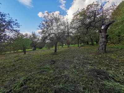 UMOWA PRZEDWSTĘPNA - Łańcut  -
Podkarpackie Zdjęcie nr 7