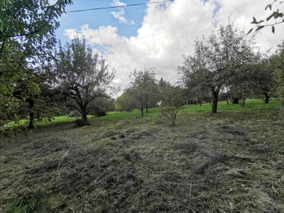 UMOWA PRZEDWSTĘPNA - Łańcut  -
Podkarpackie Zdjęcie nr 8