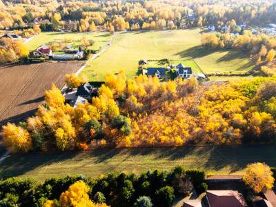 Grunt to dobra inwestycja  dosłownie - Łódź  -
Łódzkie Zdjęcie nr 6